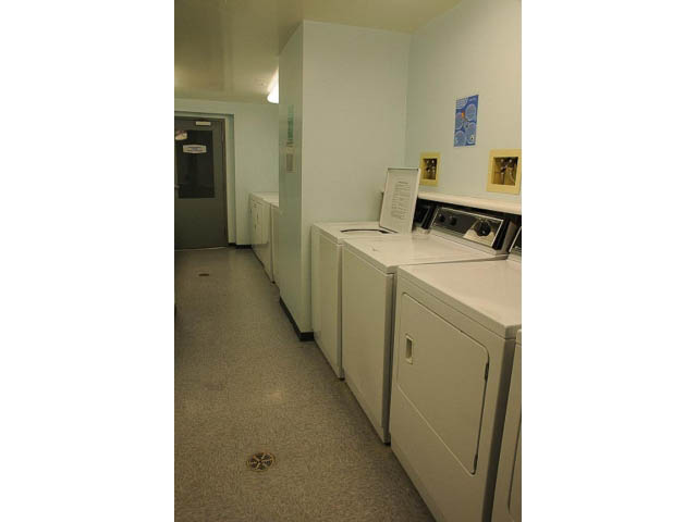 rent downtown