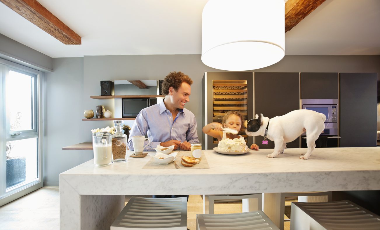 Bright kitchen with marble countertops, hardwood floors, and a dog on the counter. - 30 - 133 Keefer Street, Vancouver Downtown
