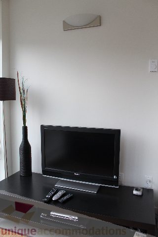 Bright living room with sleek black TV stand, modern decor, and a vase with dried flowers. - 705 - 565 Smithe Street, Vancouver Downtown
