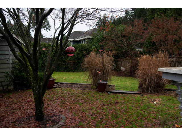 Bright living room with cozy fireplace and garden view. - 5680 Marine Drive, West Vancouver