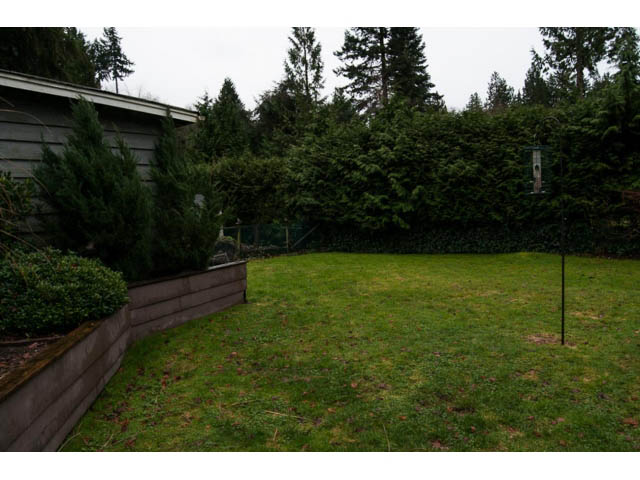 Lush green backyard with neatly trimmed hedges and trees. - 5680 Marine Drive, West Vancouver