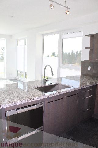 Modern kitchen with granite countertops and a city view. - 301 - 650 Evergreen Place, North Vancouver