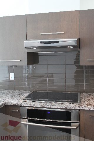 Modern kitchen with sleek granite countertops and stainless steel appliances. - 301 - 650 Evergreen Place, North Vancouver