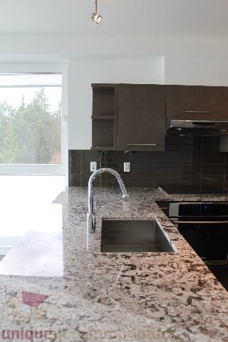 Modern kitchen with granite countertops and sleek cabinetry. - 301 - 650 Evergreen Place, North Vancouver