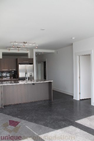 Modern kitchen with granite countertops and black floor tiles. - 301 - 650 Evergreen Place, North Vancouver