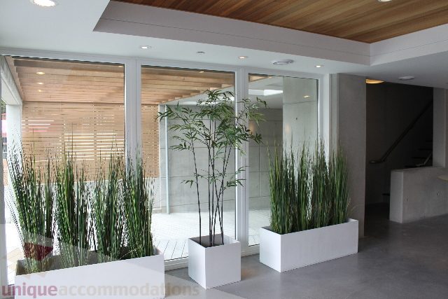 Spacious living room with modern furnishings, large windows, and sleek white countertops. - 301 - 650 Evergreen Place, North Vancouver