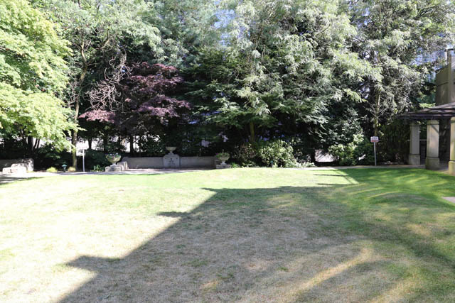 Furnished living room with greenery and outdoor view. - PH6  2806 - 950 Cambie Street, Vancouver Downtown