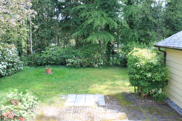 Furnished patio with lush greenery and a view of trees. - 2156 Cortell Ave, North Vancouver