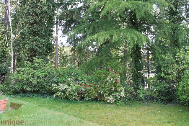 Lush garden with vibrant flowers and dense greenery. - 2156 Cortell Ave, North Vancouver