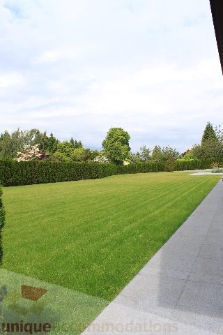 Spacious backyard with manicured lawn and hedge border. - 6012 Newton Wynd, Vancouver West Side