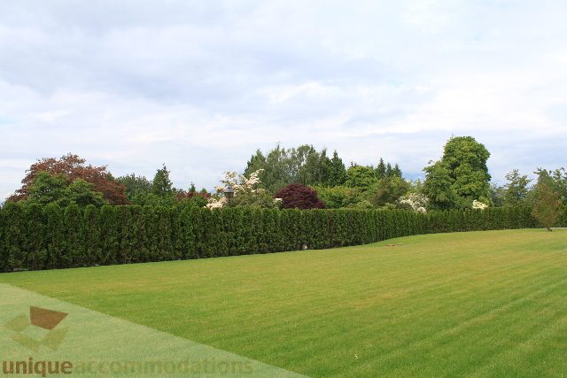 Lush green lawn and neatly trimmed hedges in a serene backyard setting. - 6012 Newton Wynd, Vancouver West Side