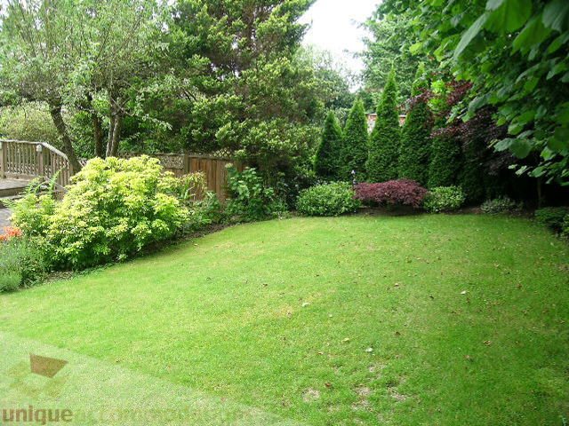 Lush green lawn with neatly trimmed hedges and trees, perfect for relaxation. - 1561 Jefferson Ave, West Vancouver