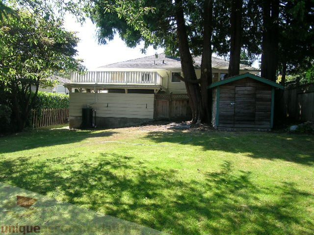 Fenced backyard with shed and trees, grassy lawn. - 1350 14th Street, West Vancouver