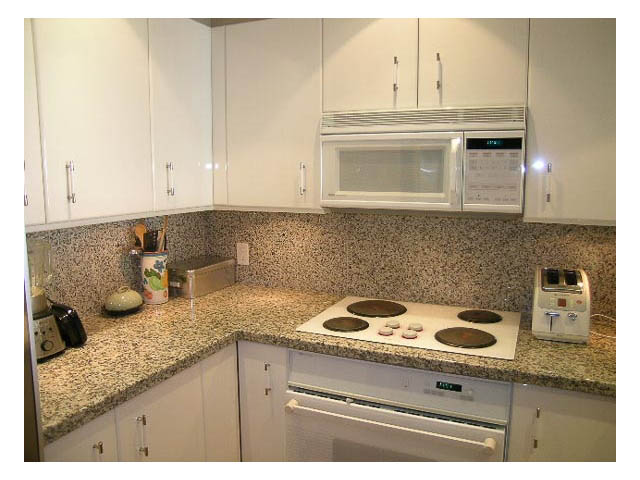 405 -1600 Hornby St - Condo - False Creek North - Photo 8 of 41