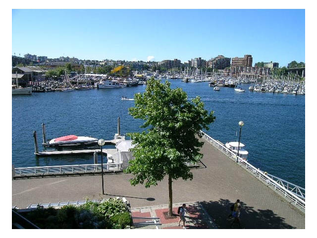 405 -1600 Hornby St - Condo - False Creek North - Photo 34 of 41