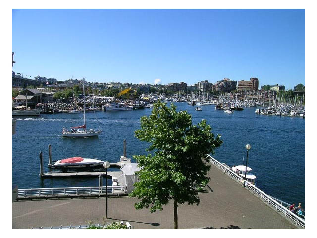 405 -1600 Hornby St - Condo - False Creek North - Photo 36 of 41