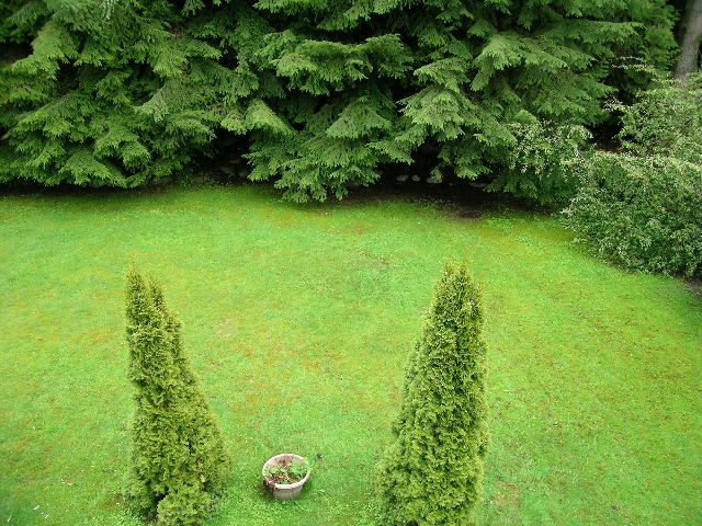 43 Glenmore Drive - House - British Properties - Photo 31 of 35