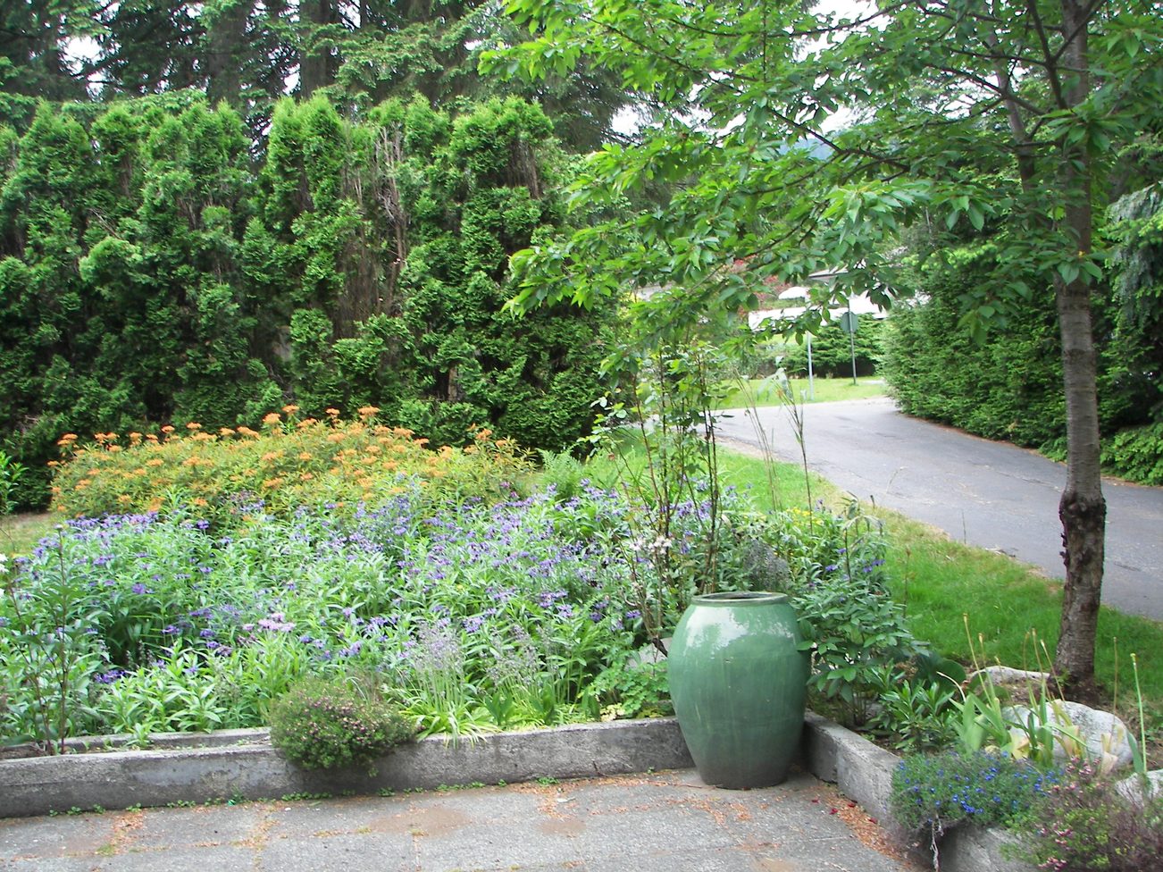 Spacious garden with a large green pot and vibrant flowers, perfect for relaxation. - 43 Glenmore Drive, West Vancouver