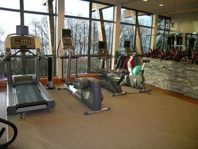 Bright living room with large windows, exercise equipment, and indoor plants. - 602 - 3355 Cypress Place, West Vancouver