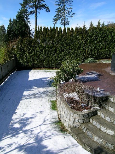 Stunning outdoor patio with stone steps, lush greenery, and a serene pond view. - 1875 26th Street, West Vancouver