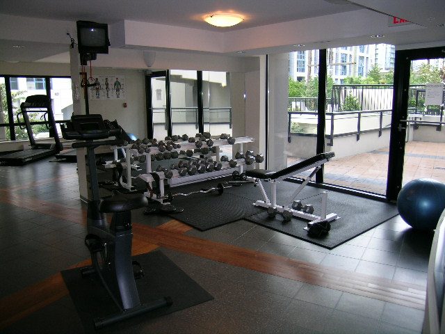 Spacious, well-lit gym with large windows offering a city view, featuring treadmills, dumbbells, and exercise balls.