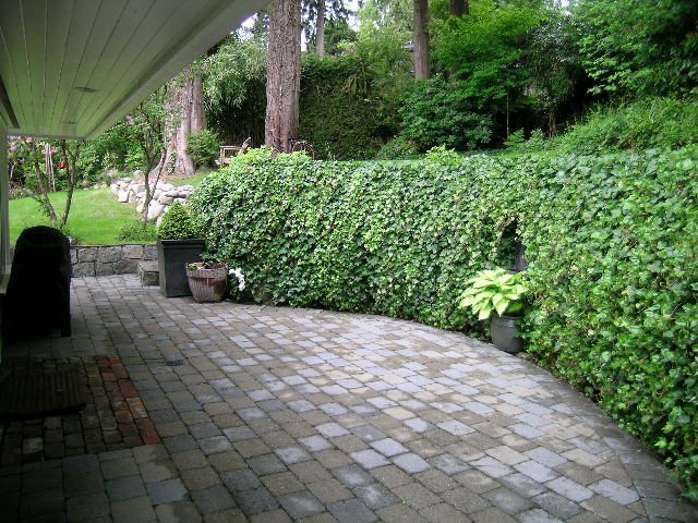 Spacious patio with ivy-covered walls and stone paving, perfect for relaxation. - 2795 Palmerston Avenue, West Vancouver
