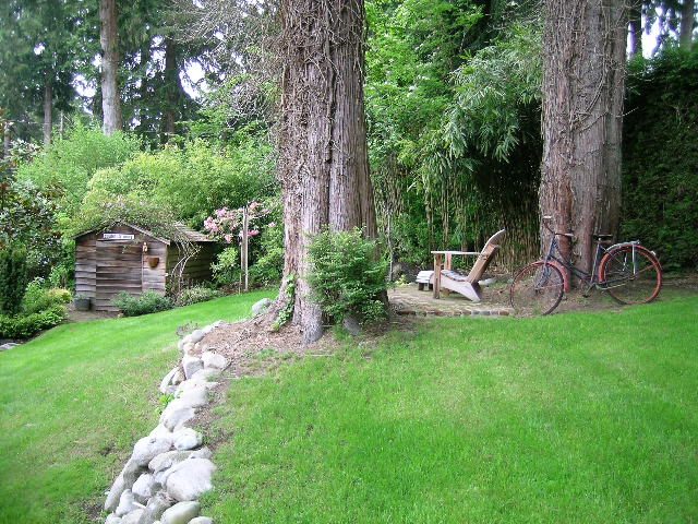 Spacious backyard with lush green lawn, large trees, and a rustic wooden structure. - 2795 Palmerston Avenue, West Vancouver