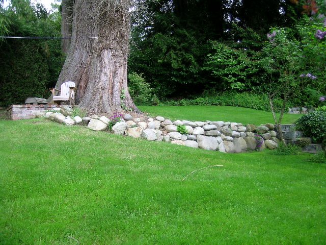 Spacious backyard with lush green lawn, large tree, and stone garden. - 2795 Palmerston Avenue, West Vancouver