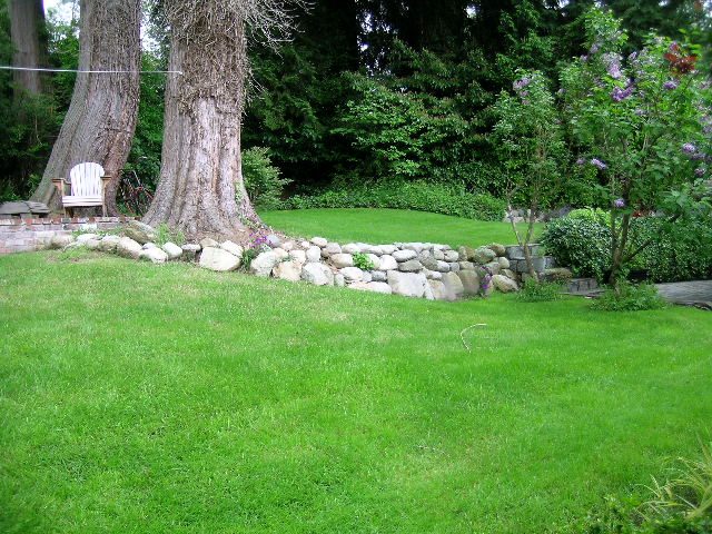 Spacious backyard with lush green lawn, large tree, and stone garden feature. - 2795 Palmerston Avenue, West Vancouver