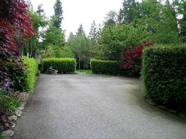 Spacious driveway leading to a lush garden with vibrant red flowers and tall trees. - 2795 Palmerston Avenue, West Vancouver