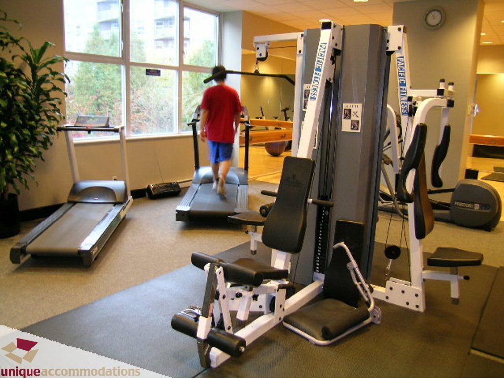 Spacious fitness room with large windows, treadmills, and weight machines, perfect for workout enthusiasts.