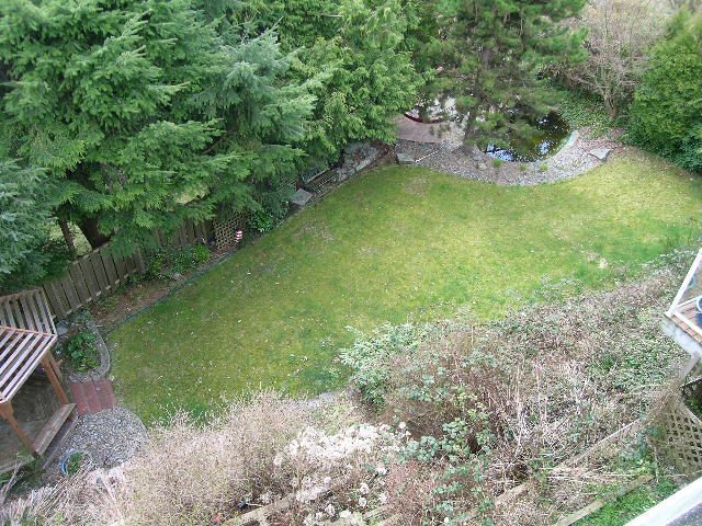 Spacious backyard with lush green lawn and mature trees. - 1104 Hillside Road, West Vancouver