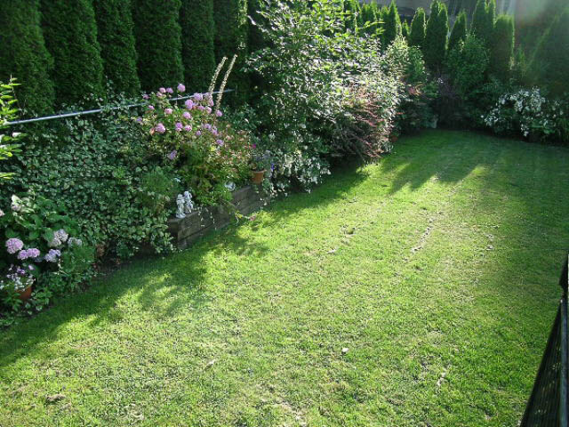 Spacious backyard with lush green lawn and blooming flowers. - 1077 Blue Grouse Way, North Vancouver