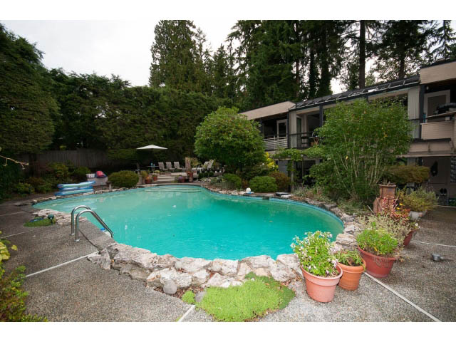 Spacious patio with a pool, surrounded by lush greenery and a house in the background. - Cottage - 1395  3rd Street, West Vancouver