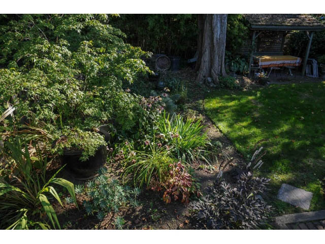 Furnished garden with lush greenery and a wooden bench. - 3998 West 10th Avenue, Vancouver West Side