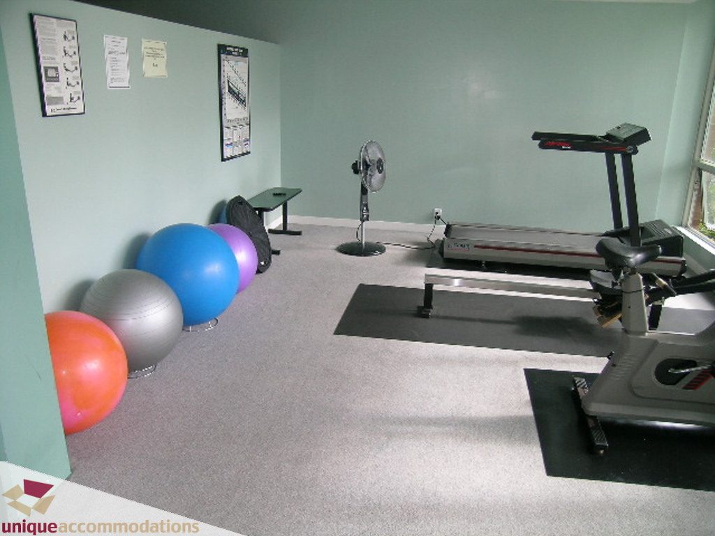 Fitness room with exercise balls, treadmill, and fan. - T15 - 1501 Howe Street, Vancouver Downtown