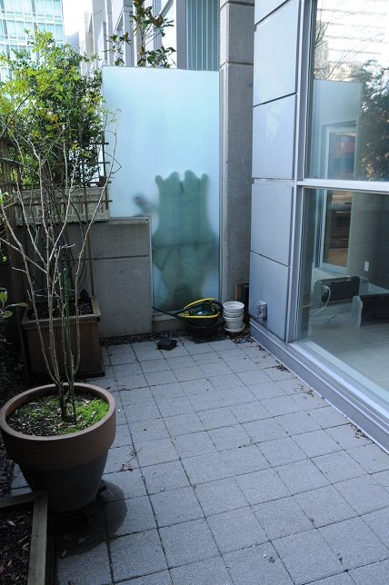 Terrace with potted plants and a glass wall showing a handprint. - 1275 Alberni Street, Vancouver Downtown