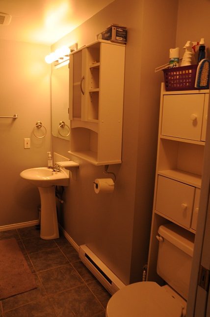Compact bathroom with white cabinets and a pedestal sink. - 2018 Rivergrove Place, North Vancouver