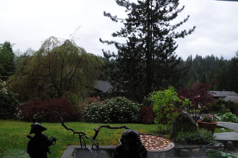 Furnished 1-bedroom + den with a serene garden view, featuring a weeping willow and a pine tree. - 2018 Rivergrove Place, North Vancouver