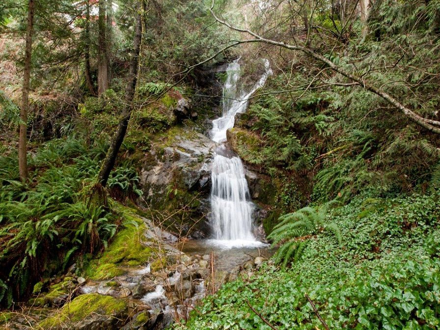 Forest retreat with serene waterfall and lush greenery. - 5439 Indian River Drive, North Vancouver