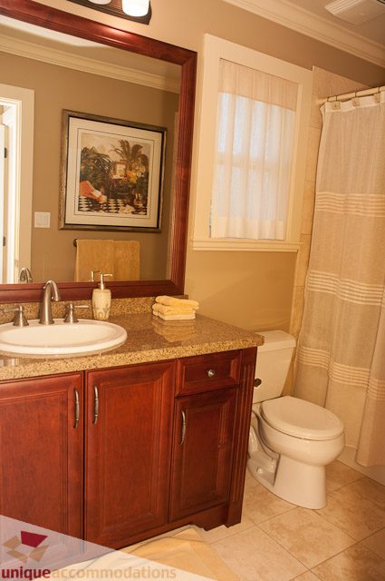 Furnished bathroom with granite countertops and wooden cabinets. - 3035 Newmarket Drive, North Vancouver