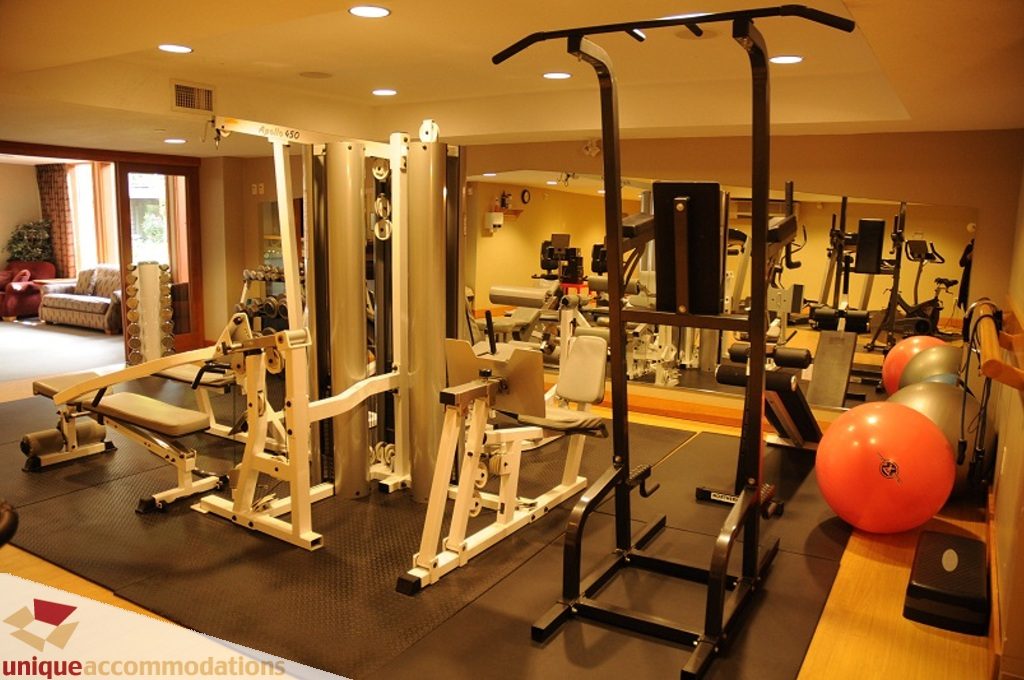 Furnished gym with various workout equipment and exercise balls. - 103-580 Raven Woods Drive, North Vancouver