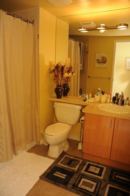 Furnished bathroom with wooden cabinets, granite countertop, and patterned rug. - 1501 -1077 Marinaside Crescent, Vancouver Downtown
