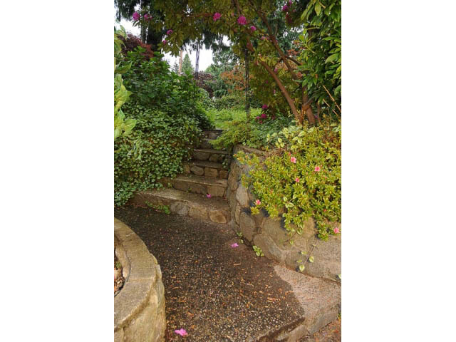 Stairway garden with stone steps and lush greenery. - Cottage - Sinclair Street, West Vancouver