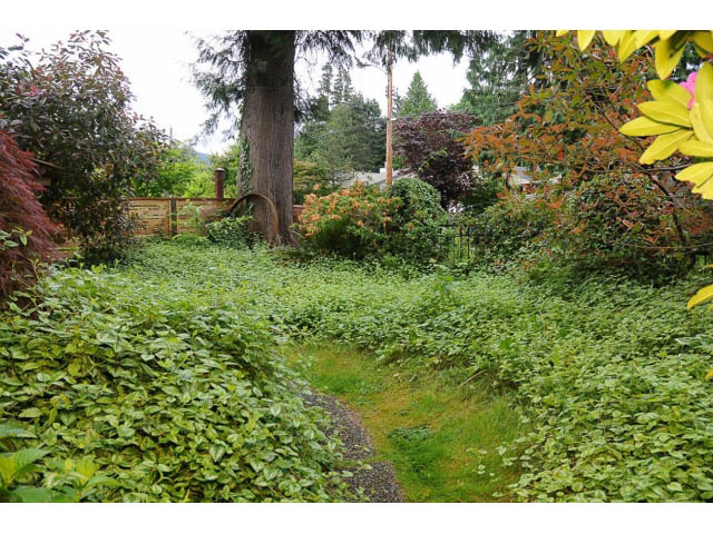 Furnished 1-bedroom suite with lush green garden and winding path. - Cottage - Sinclair Street, West Vancouver