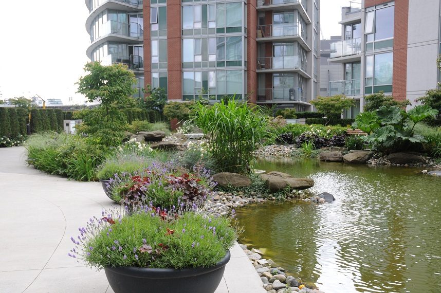 Furnished patio with a pond, plants, and modern building in the background. - 506 - 618 Abbott Street, Vancouver Downtown