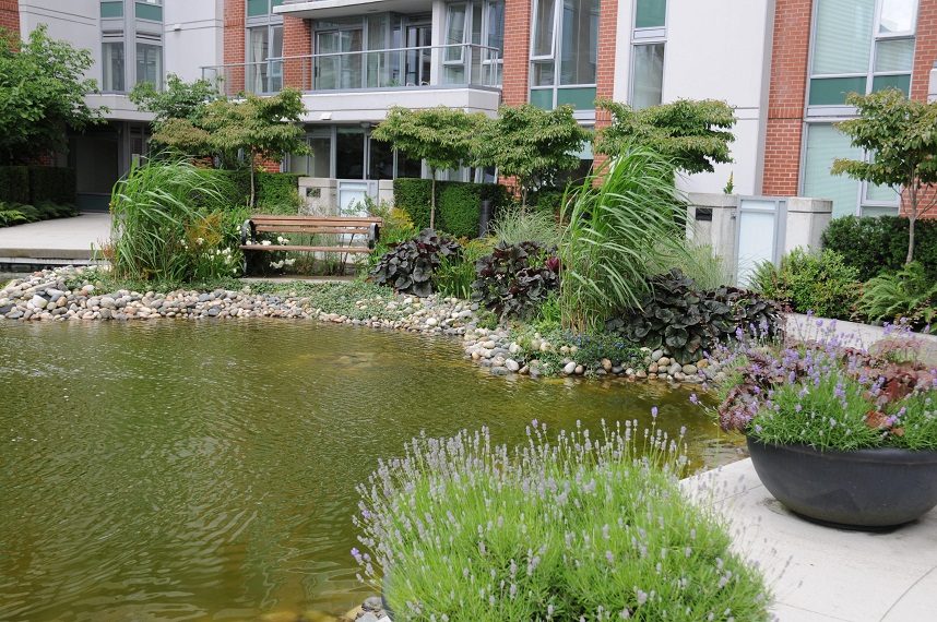 Furnished 1-bedroom + den with serene garden pond and lush greenery. - 506 - 618 Abbott Street, Vancouver Downtown