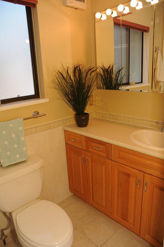 Bathroom with wooden cabinets, white countertop, and decorative plants. - 5591 Huckleberry Place, North Vancouver