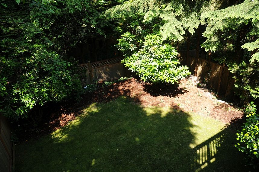 Lush green backyard with mature trees and a well-maintained lawn. - 5591 Huckleberry Place, North Vancouver