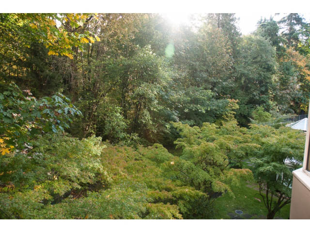 Bright balcony with lush green trees and sunlight streaming through. - 308 - 1327 East Keith Road, North Vancouver